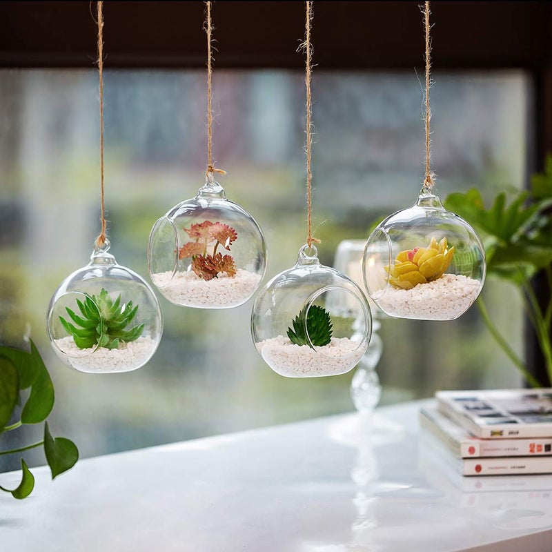 NUPTIO 4 Pcs Hanging Glass Terrarium Plants, 4" Diam Globe Planter Terrariums for Succulent - Image 5